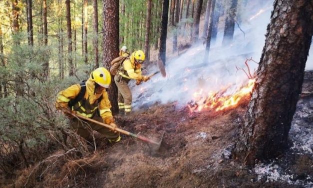 Extinguido incendio forestal de Huelva después de quemar más de 12.000 hectáreas