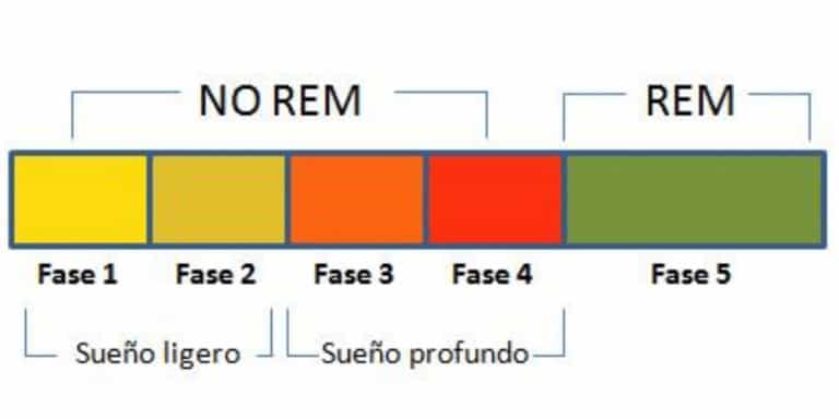 SUEÑO REM UNA FIRMA ELÉCTRICA IDENTIFICA EL DE CADA PERSONA