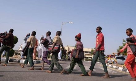 Fueron liberados unos 29 estudiantes nigerianos que estaba secuestrados desde marzo