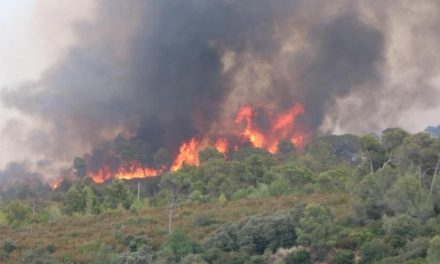 Bomberos intentan apagar el incendio en el municipio barcelonés de Castellví de Rosanes