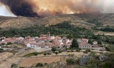 Logran estabilizar el fuego en Navalacruz, el más extenso en Castilla y León
