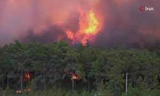 Turquía aún en peligro pide ayuda a la UE para controlar incendios que ha dejado varios muertos