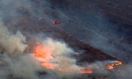 Incendio en Málaga ya ha sido controlado luego de arrasar con más de 9.600 hectáreas