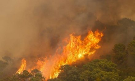 Muere bombero forestal durante los incendios Sierra Bermeja y más de 900 personas desalojadas