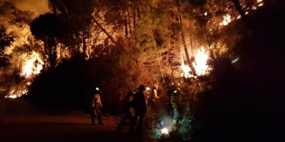 muere-bombero-forestal-durante-los-incendios-sierra-bermeja-y-mas-de-900-personas-desalojadas-labores-de-extincion-aliadoinformativo.com