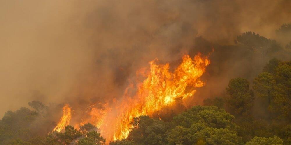 Muere bombero forestal durante los incendios Sierra Bermeja y más de 900 personas desalojadas