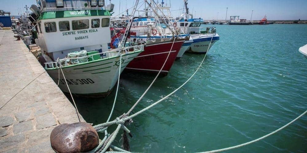 Flota pesquera española protesta por el alza de los precios del gasóleo y queda amarrada
