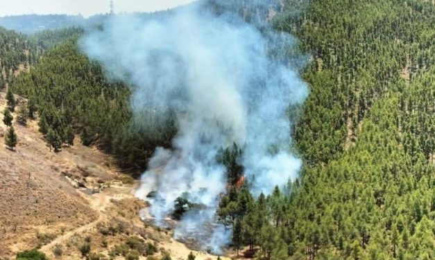 Guardia Civil investiga a hombre como posible responsable del incendio de Tejeda en Gran Canaria