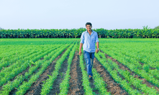 Descubre los requisitos para ser Joven Agricultor en España