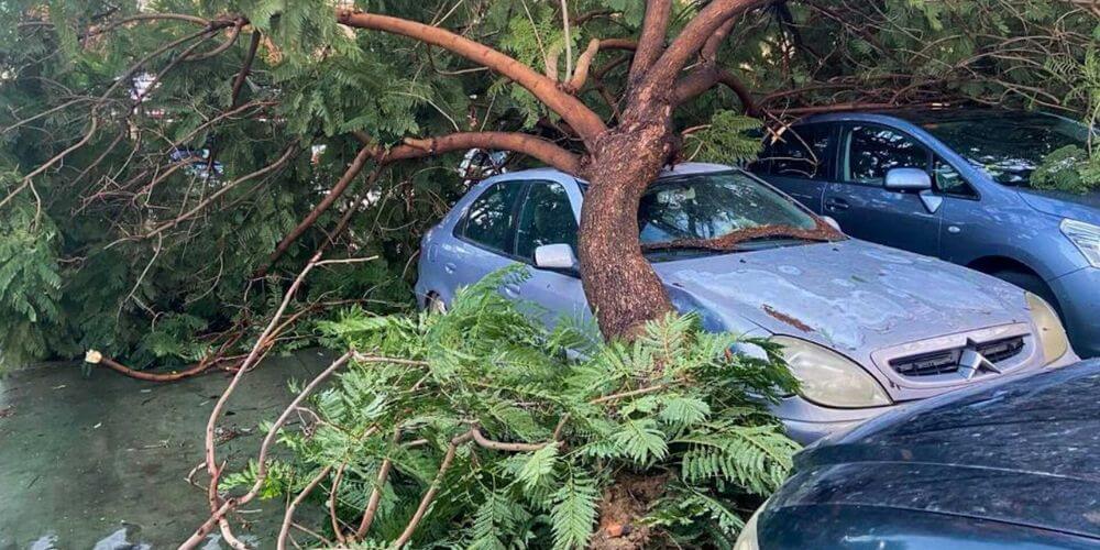 Muere un hombre tras volcar su coche debido al temporal en Trigueros, Huelva