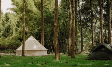 Libera el estrés y descansa en una buena zona de camping