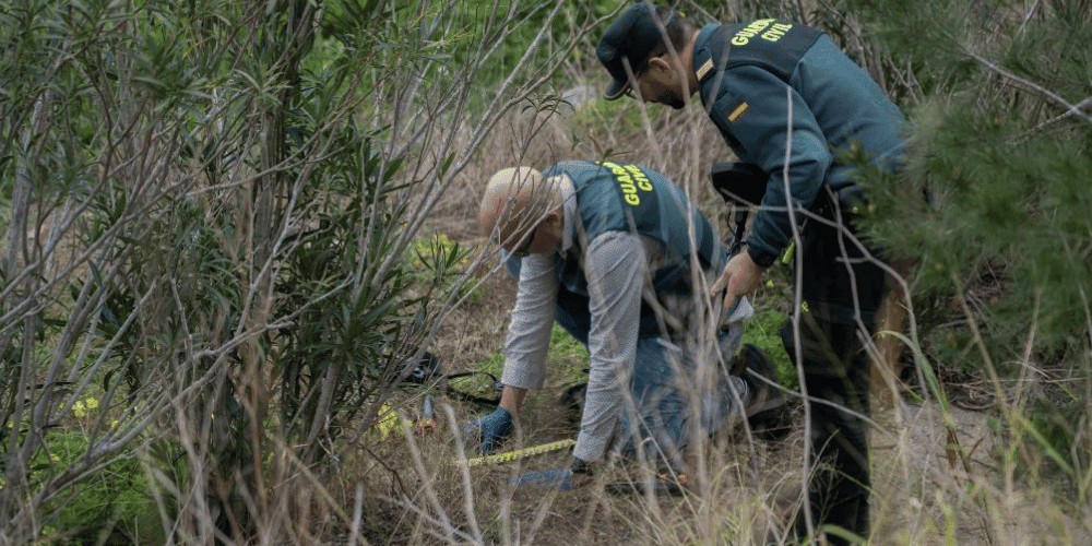 encuentran-asesinado-disparo-exalcalde-gandia-arturo-torro-aliadoinformativo.com