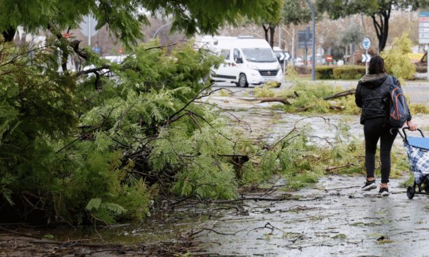 Nueva borrasca azota Andalucía: 5 heridos y cortes en AP-4 y Cercanías por fuertes vientos