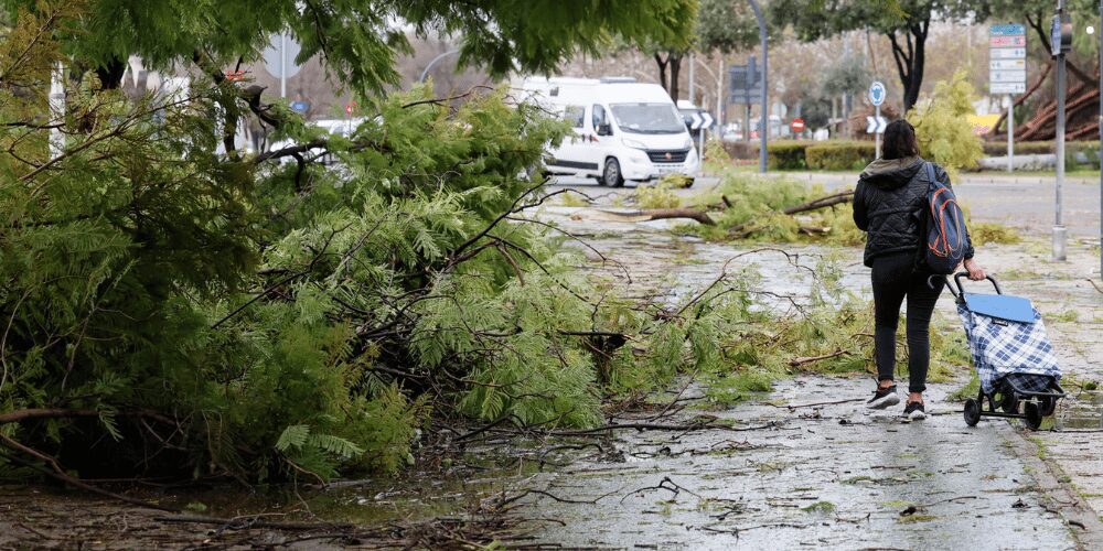 Nueva borrasca azota Andalucía: 5 heridos y cortes en AP-4 y Cercanías por fuertes vientos